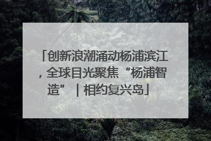创新浪潮涌动杨浦滨江，全球目光聚焦“杨浦智造”｜相约复兴岛