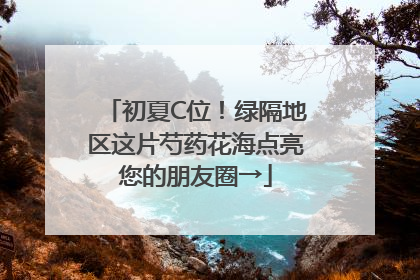 初夏C位！绿隔地区这片芍药花海点亮您的朋友圈→