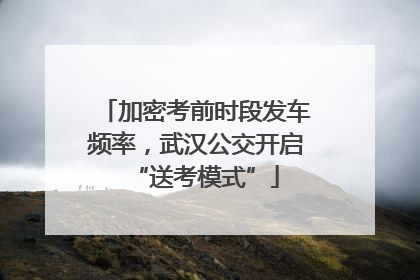加密考前时段发车频率，武汉公交开启“送考模式”
