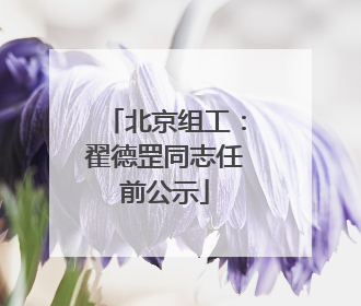 北京组工：翟德罡同志任前公示