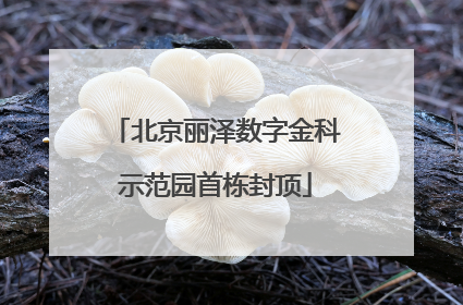 北京丽泽数字金科示范园首栋封顶