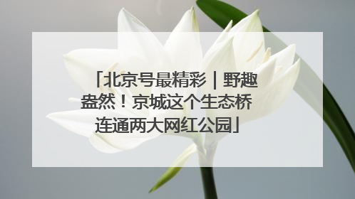 北京号最精彩｜野趣盎然！京城这个生态桥连通两大网红公园