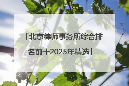 北京律师事务所综合排名前十2025年精选
