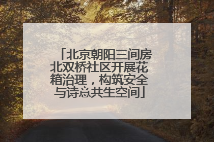 北京朝阳三间房北双桥社区开展花箱治理，构筑安全与诗意共生空间