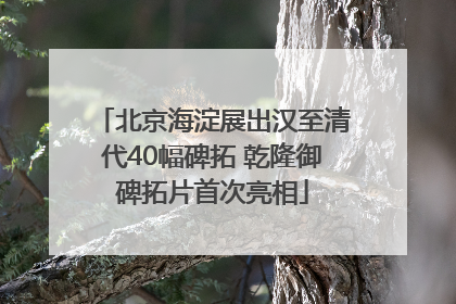 北京海淀展出汉至清代40幅碑拓 乾隆御碑拓片首次亮相