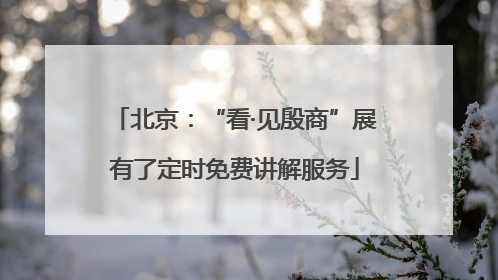 北京：“看·见殷商”展有了定时免费讲解服务