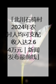 北川石椅村2024年农村人均可支配收入达2.64万元｜新闻发布最前线