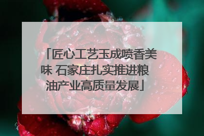 匠心工艺玉成喷香美味 石家庄扎实推进粮油产业高质量发展