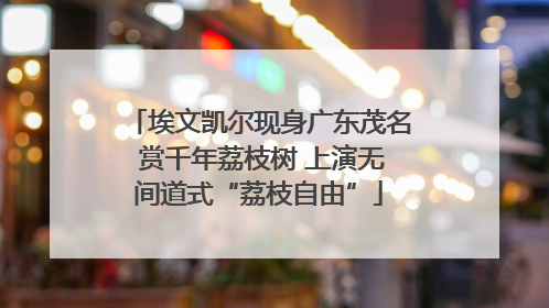 埃文凯尔现身广东茂名 赏千年荔枝树 上演无间道式“荔枝自由”