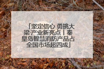 坚定信心 勇挑大梁·产业新亮点丨秦皇岛智慧消防产品占全国市场超四成