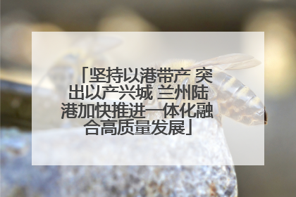 坚持以港带产 突出以产兴城 兰州陆港加快推进一体化融合高质量发展