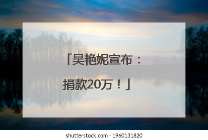 吴艳妮宣布：捐款20万！