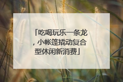 吃喝玩乐一条龙，小帐篷撬动复合型休闲新消费