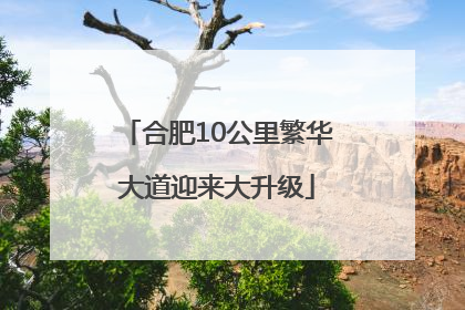 合肥10公里繁华大道迎来大升级
