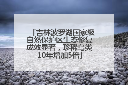 吉林波罗湖国家级自然保护区生态修复成效显著，珍稀鸟类10年增加5倍