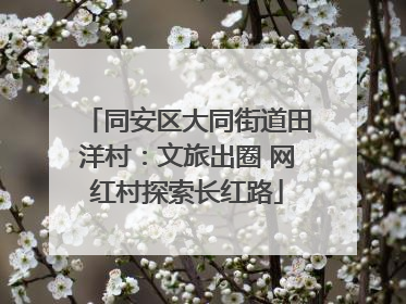 同安区大同街道田洋村：文旅出圈 网红村探索长红路