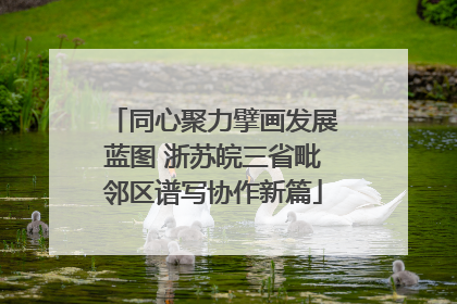 同心聚力擘画发展蓝图 浙苏皖三省毗邻区谱写协作新篇