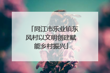 同江市乐业镇东风村以文明创建赋能乡村振兴