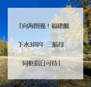 向海图强！福建舰下水3周年 三航母同框指日可待