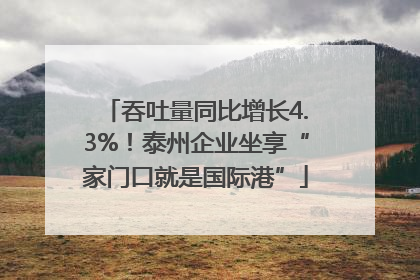 吞吐量同比增长4.3%！泰州企业坐享“家门口就是国际港”