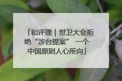 和评理｜世卫大会拒绝“涉台提案” 一个中国原则人心所向
