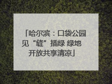 哈尔滨：口袋公园见“缝”插绿 绿地开放共享清凉