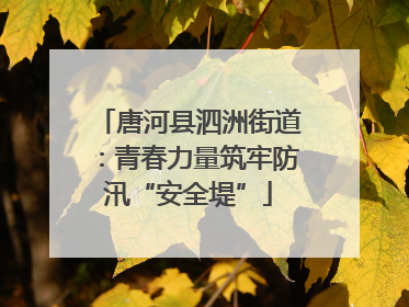 唐河县泗洲街道：青春力量筑牢防汛“安全堤”