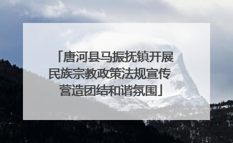 唐河县马振抚镇开展民族宗教政策法规宣传 营造团结和谐氛围