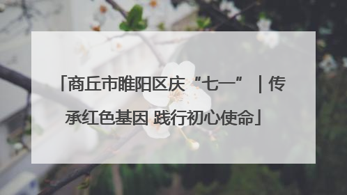 商丘市睢阳区庆“七一”｜传承红色基因 践行初心使命