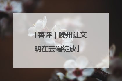 善评｜滕州让文明在云端绽放