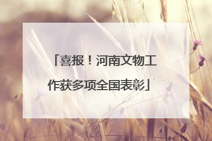 喜报！河南文物工作获多项全国表彰