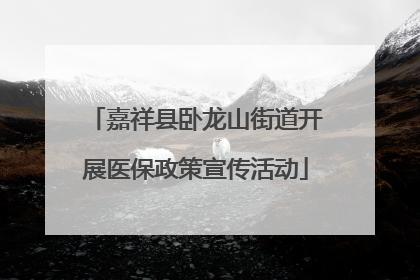 嘉祥县卧龙山街道开展医保政策宣传活动
