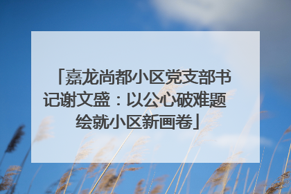 嘉龙尚都小区党支部书记谢文盛：以公心破难题 绘就小区新画卷