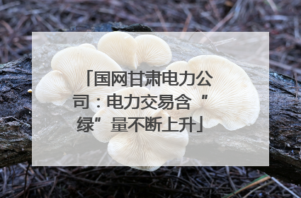 国网甘肃电力公司：电力交易含“绿”量不断上升