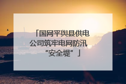 国网平舆县供电公司筑牢电网防汛“安全堤”