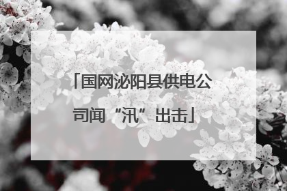 国网泌阳县供电公司闻“汛”出击