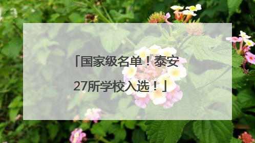 国家级名单！泰安27所学校入选！