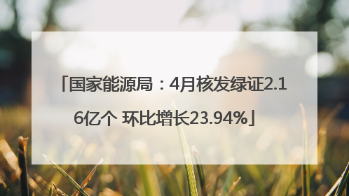 国家能源局：4月核发绿证2.16亿个 环比增长23.94%