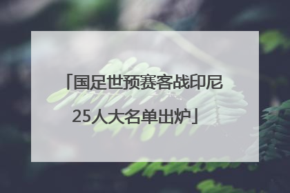 国足世预赛客战印尼25人大名单出炉
