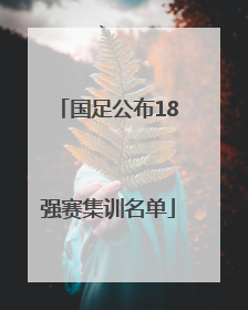 国足公布18强赛集训名单