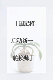 国足将启动新一轮换帅