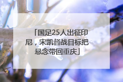 国足25人出征印尼，宋凯督战目标把悬念带回重庆