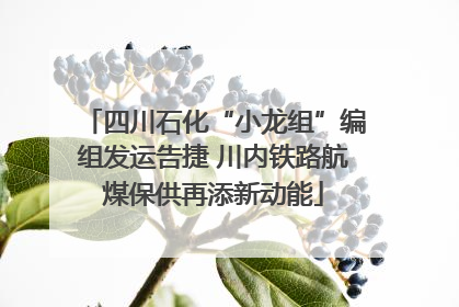 四川石化“小龙组”编组发运告捷 川内铁路航煤保供再添新动能