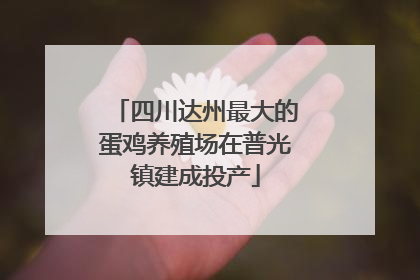 四川达州最大的蛋鸡养殖场在普光镇建成投产
