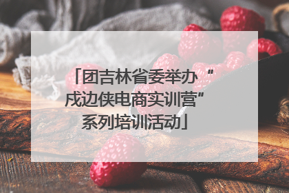 团吉林省委举办“戍边侠电商实训营”系列培训活动