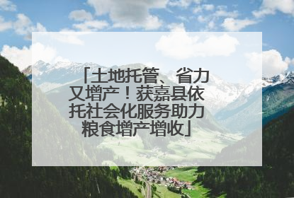 土地托管、省力又增产！获嘉县依托社会化服务助力粮食增产增收