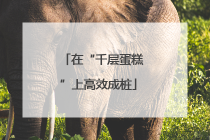 在“千层蛋糕”上高效成桩