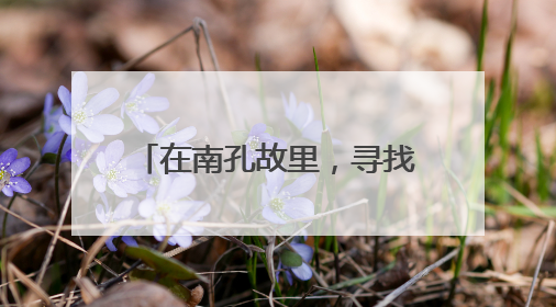 在南孔故里，寻找有礼的现代注解