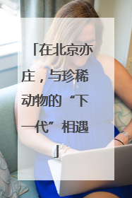 在北京亦庄，与珍稀动物的“下一代”相遇