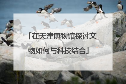 在天津博物馆探讨文物如何与科技结合
